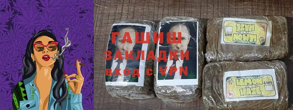 крисы Тайга