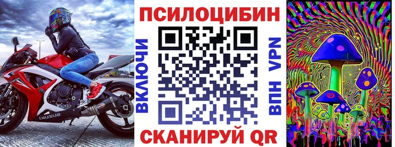 купить наркотики сайты  Кяхта  Псилоцибиновые грибы GOLDEN TEACHER 